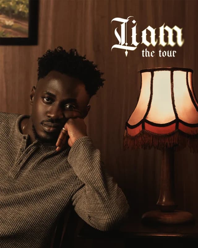 Anendlessocean In Lagos (LIAM Tour) cover