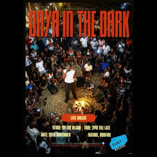 DAYA IN THE DARK cover