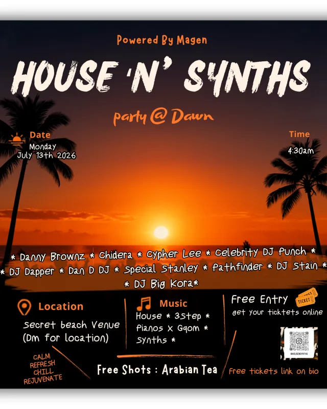House 'N' Synths cover