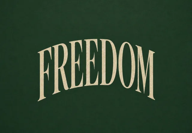 THE FREEDOM CONCERT cover